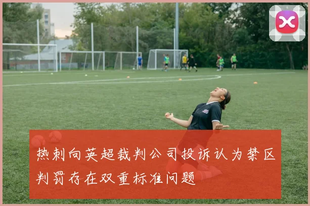 热刺向英超裁判公司投诉认为禁区判罚存在双重标准问题