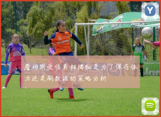 詹姆斯受伤真相揭秘是为了保存体力还是刷数据的策略分析